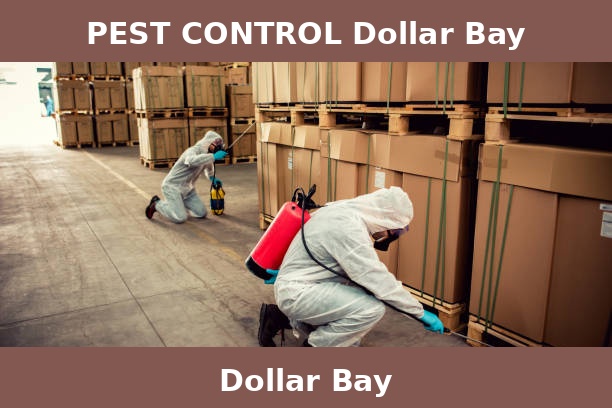 PEST CONTROL Dollar Bay